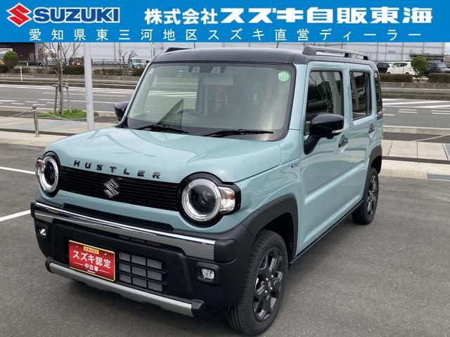 ハスラー　タフワイルド　３型
