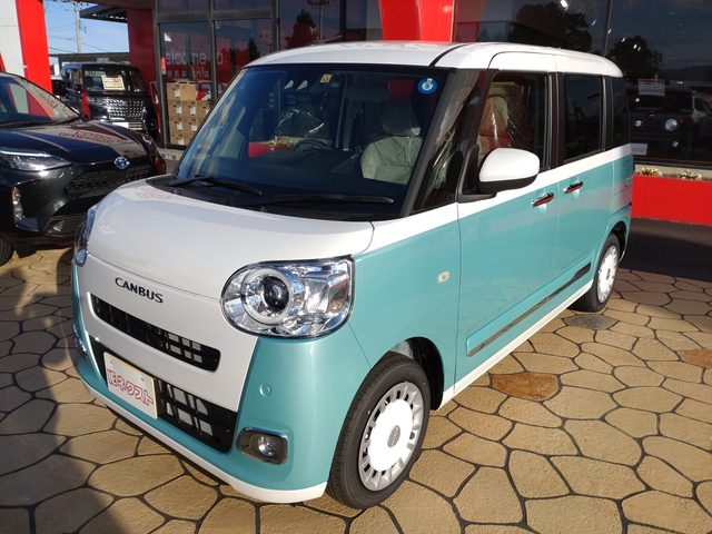 ムーヴ　キャンバス　ストライプス　Ｇ