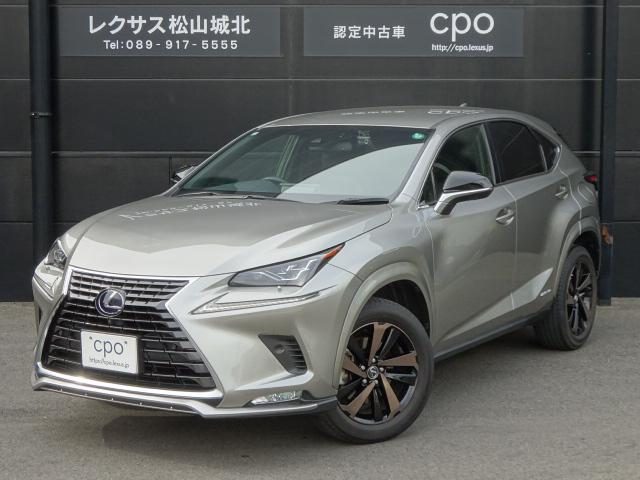 ＮＸ３００ｈ　スパイス＆シック