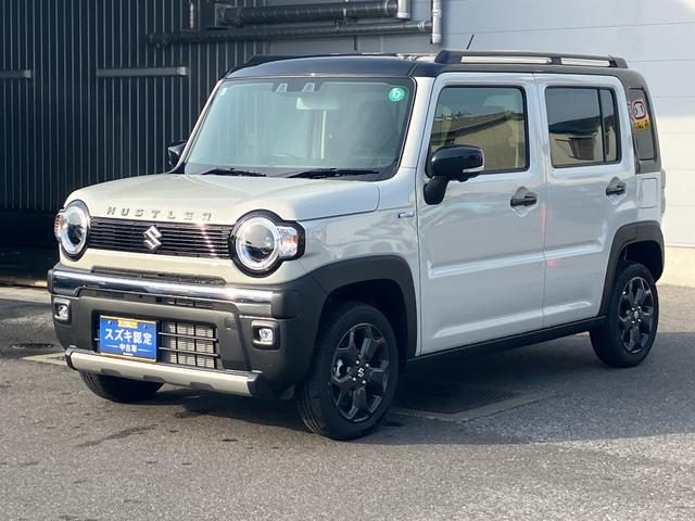 ハスラー　タフワイルド３型　９インチ全方位メモリー