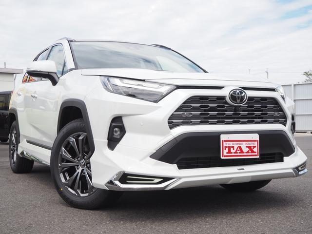 ＲＡＶ４　４ＷＤ　ハイブリッドＧ　モデリスタエアロ　ルーフ