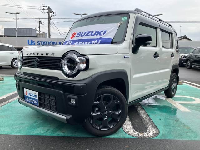 ハスラー　タフワイルド　３型　ナビ　ＥＴＣ　被害軽