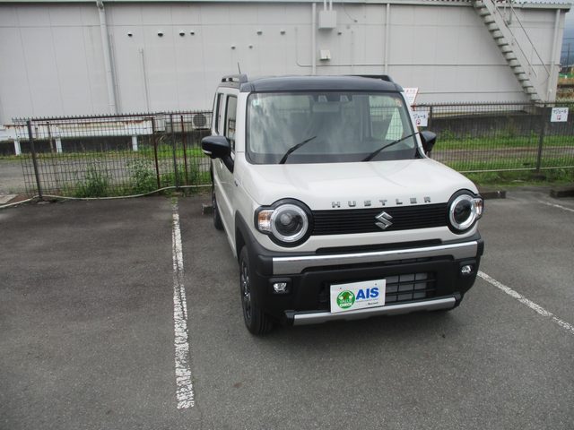 ハスラー　タフワイルド
