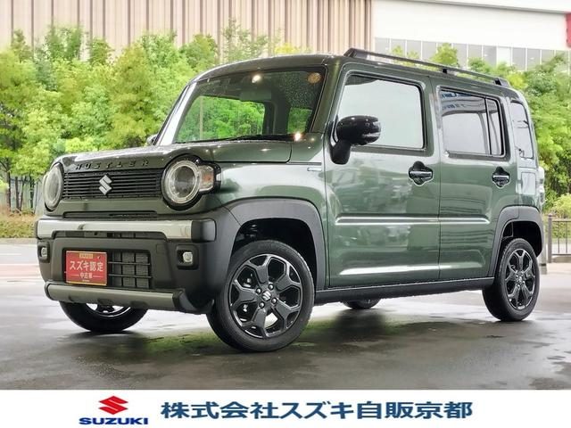 ハスラー　タフワイルド　３型