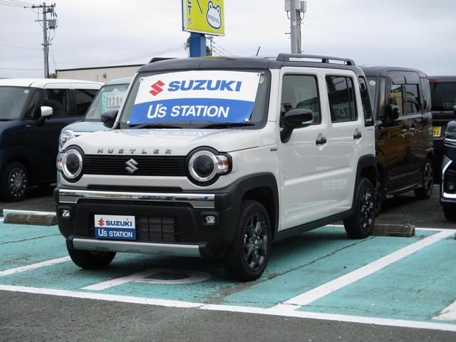 ハスラー　タフワイルド　３型