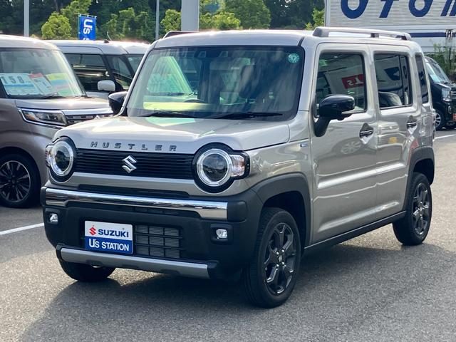 ハスラー　タフワイルド　３型