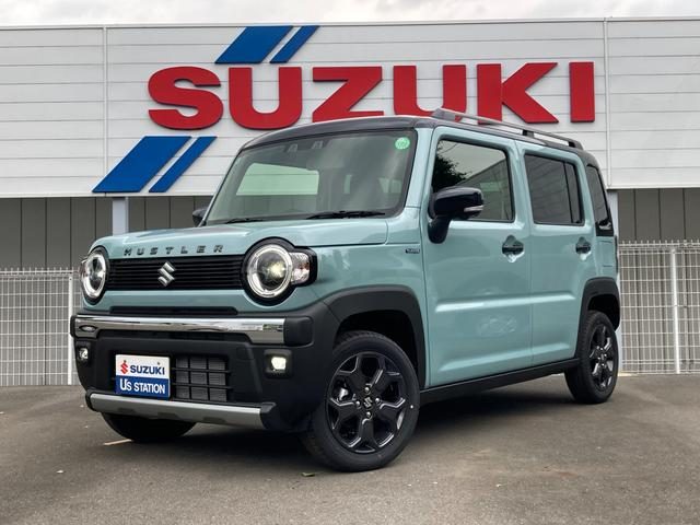 ハスラー　タフワイルド　３型