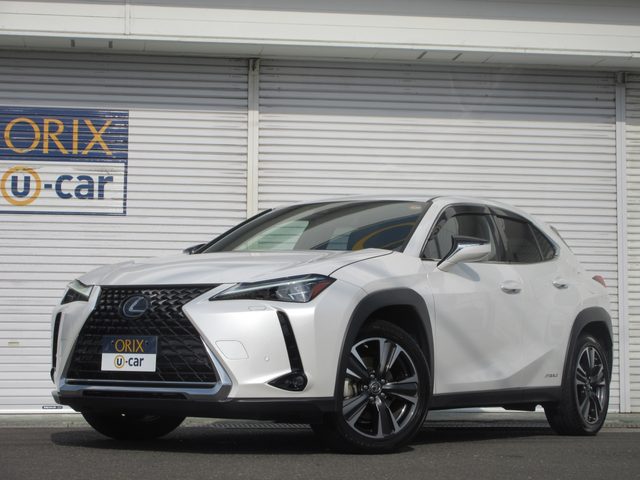 ＵＸ２５０ｈ　ＡＷＤ　バージョンＬ