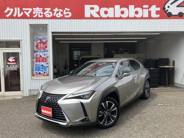 ＵＸ２５０ｈ　ＡＷＤ　バージョンＬ　後期型　ワンオーナー