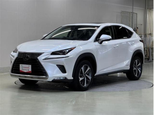 ＮＸ３００ｈ　Ｉパッケージ