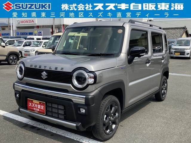 ハスラー　タフワイルドターボ　３型　９インチナビ・