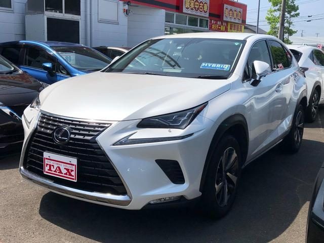 ＮＸ３００ｈ　ＮＸ３００ｈ　Ｉパッケージ　フルセグナビ