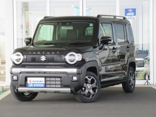 ハスラー　タフワイルド　３型