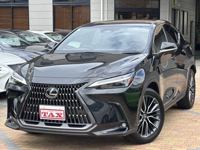 ＮＸ２５０　２５０　バージョンＬ　ワンオーナー　赤本