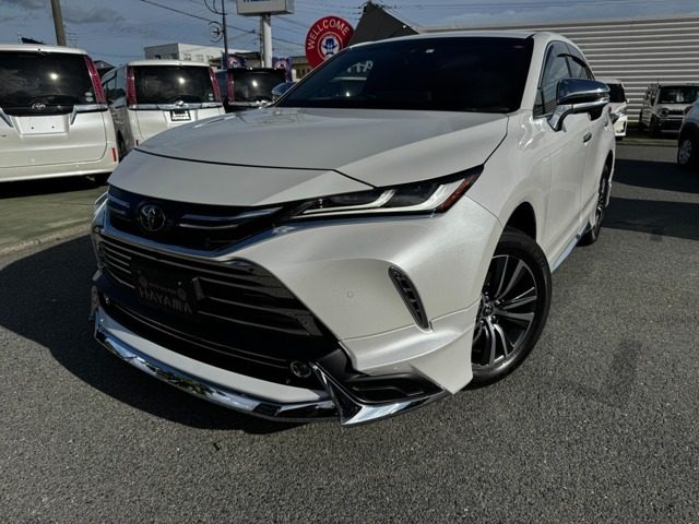 ハリアー　２ＷＤ　２．０　Ｇ　メーカーＯＰ：１２．３インチ