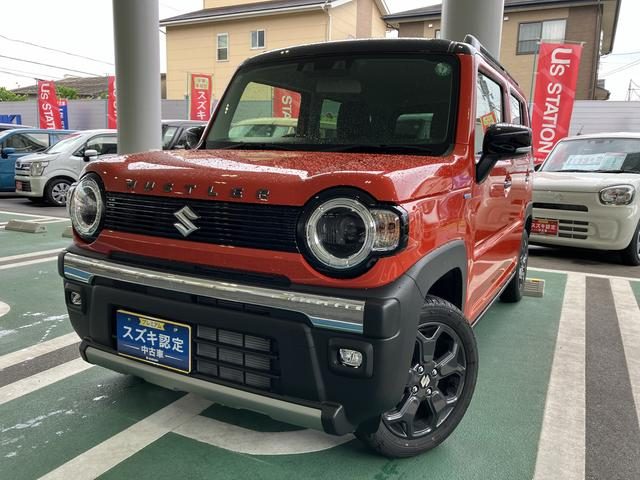ハスラー　タフワイルド　３型