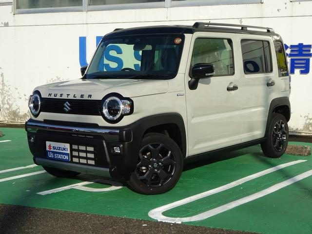 ハスラー　タフワイルド　３型