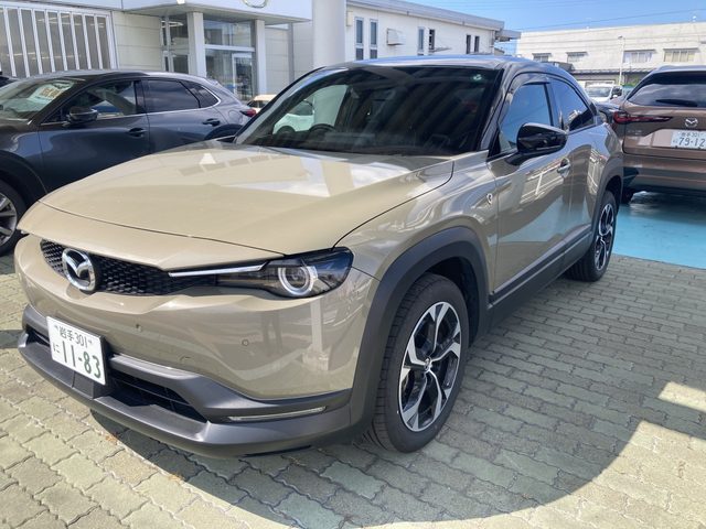 ＭＸ－３０　ロータリーＥＶ　ナチュラル　モノトーン