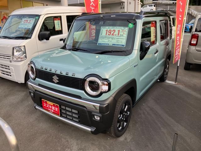 ハスラー　タフワイルド　３型