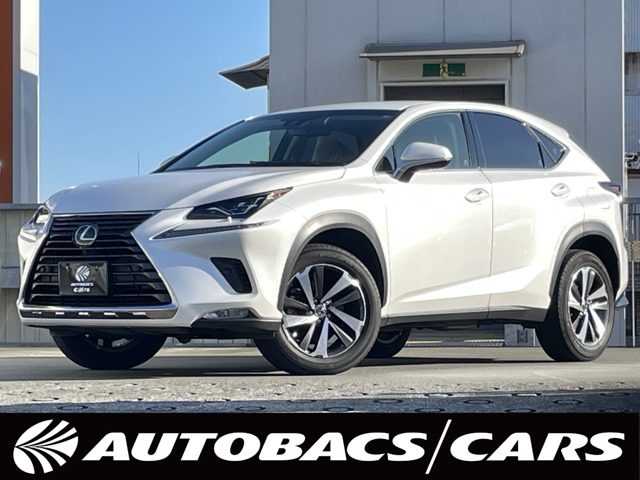 ＮＸ３００　ＡＷＤ　バージョンＬ