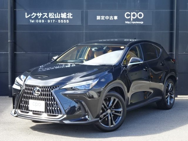 ＮＸ２５０　バージョンＬ