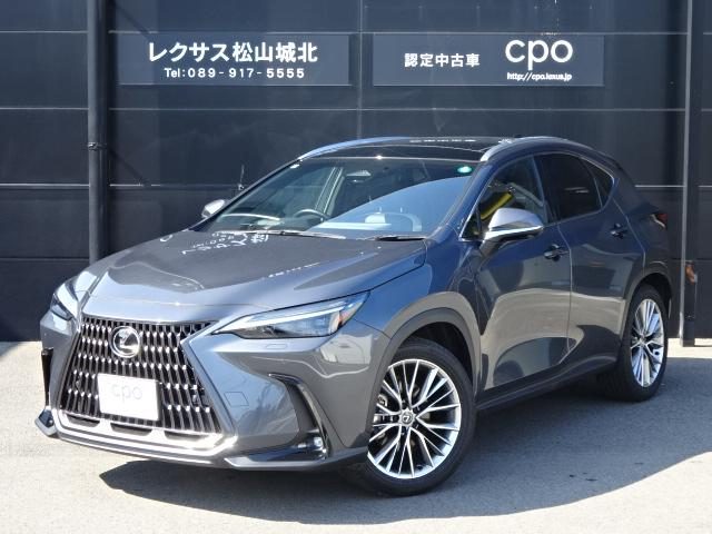ＮＸ２５０　バージョンＬ
