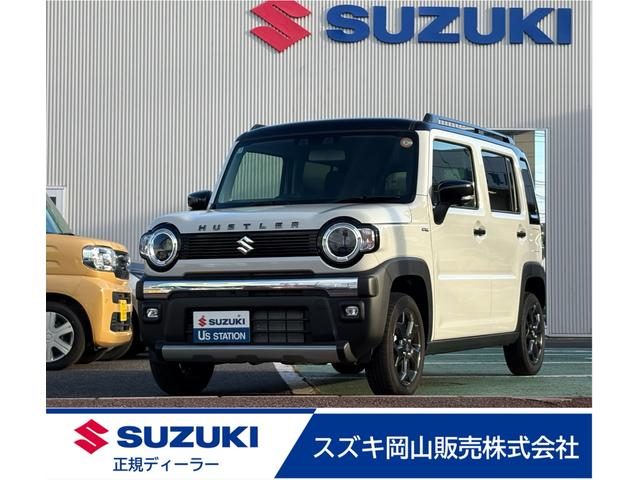 ハスラー　タフワイルド　３型