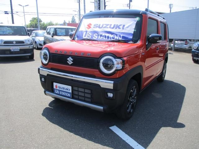 ハスラー　タフワイルド　３型