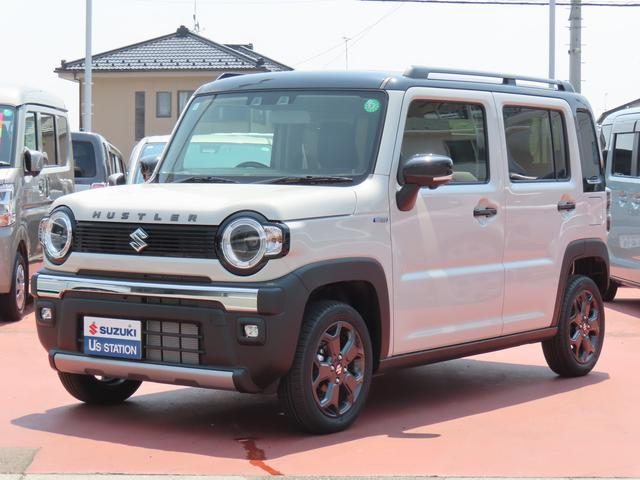 ハスラー　タフワイルド　３型