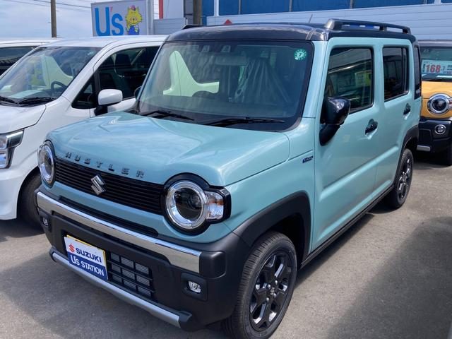 ハスラー　タフワイルド　３型