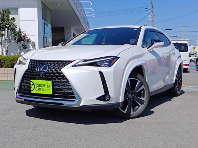 ＵＸ２５０ｈ　ＵＸ２５０ｈバージョンＬ