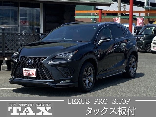 ＮＸ３００ｈ　３００ｈ　Ｆスポーツ　パノラミックビュー