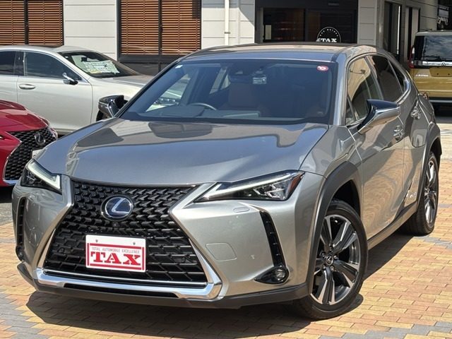 ＵＸ２５０ｈ　２５０ｈ　バージョンＬ　パノラミックビュ