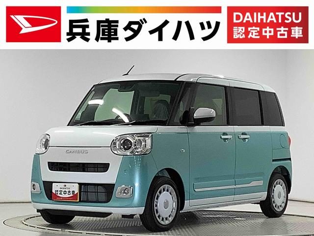 ムーヴ　キャンバス　ストライプスＧ　９インチディスプレイオー