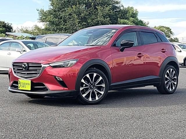 ＣＸ－３　ＸＤプロアクティブ