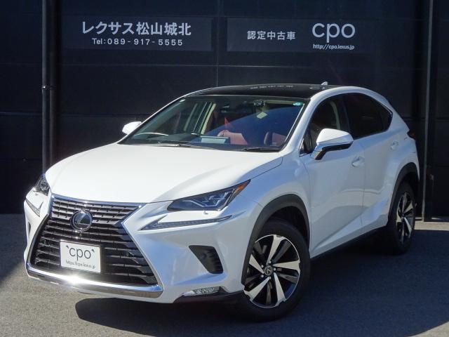 ＮＸ３００　バージョンＬ