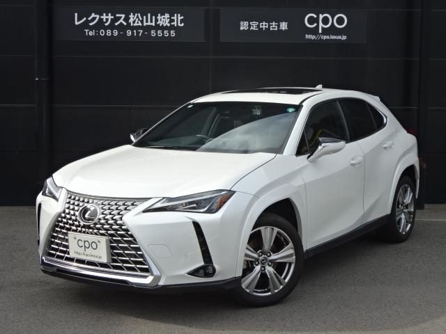 ＵＸ２５０ｈ　グレイスフル　エクスプローラー