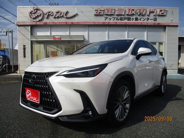 ＮＸ２５０　バージョンＬ