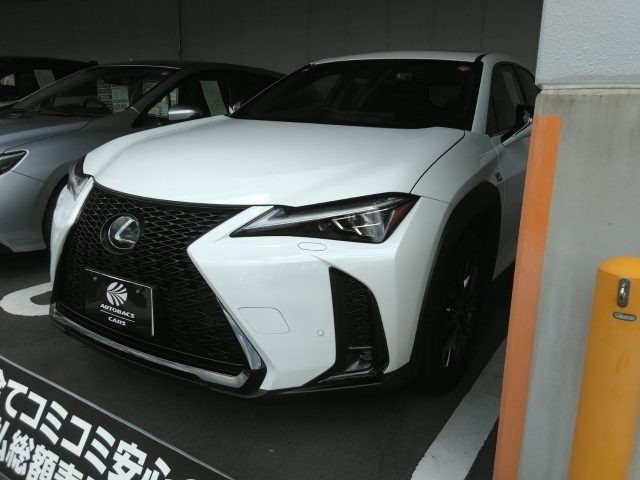 ＵＸ２５０ｈ　ＵＸ２５０ｈ Ｆ ＳＰＯＲＴ