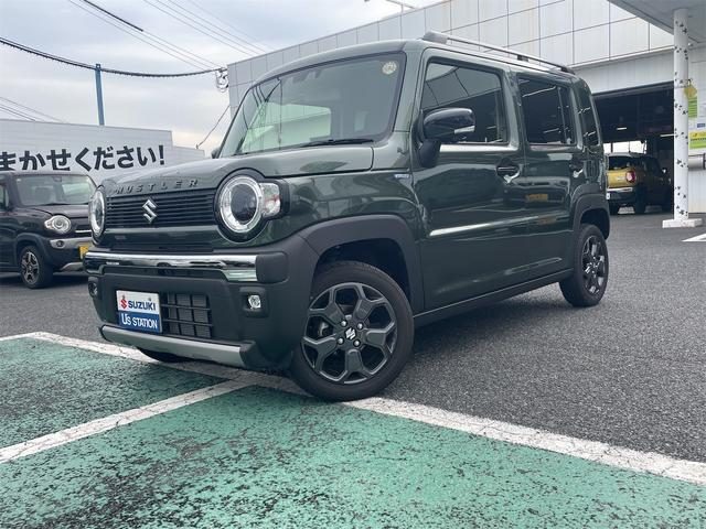ハスラー　タフワイルド　３型