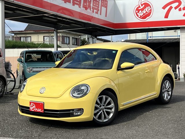 Ｔｈｅ　ビートル　デザイン　レザーパッケージ