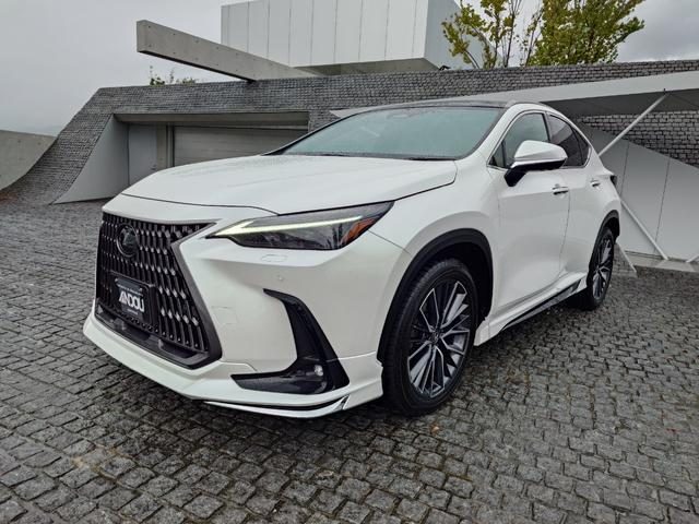 ＮＸ２５０　ＮＸ２５０