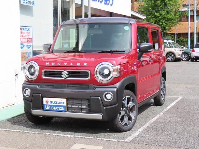 ハスラー　ＨＹＢＲＩＤ　Ｘ　３型／雹害車・オーディ