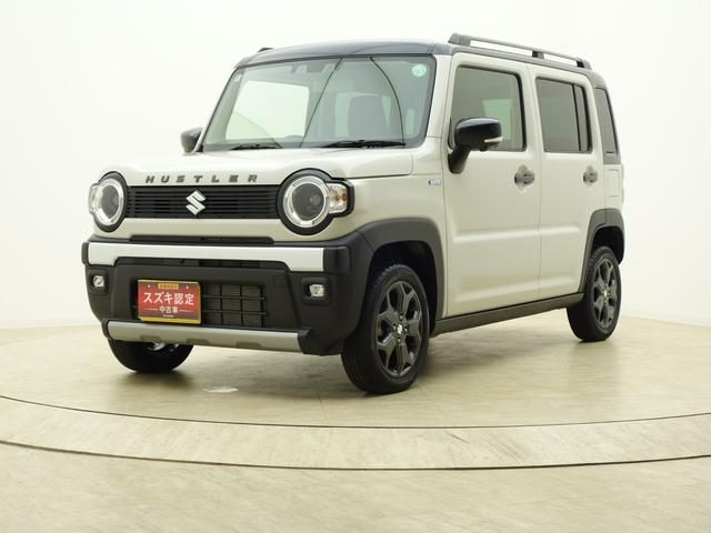 ハスラー　タフワイルド　３型