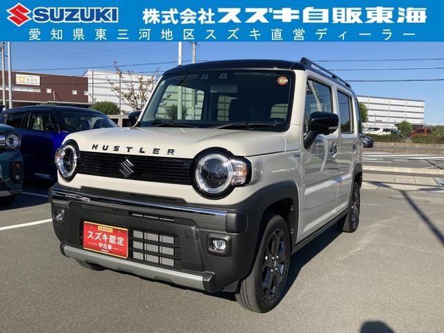 ハスラー　タフワイルド　３型