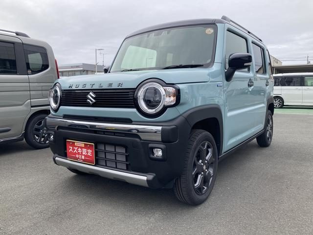 ハスラー　タフワイルド　３型