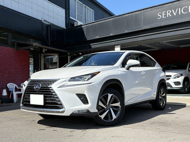 ＮＸ３００ｈ　ＡＷＤ　バージョンＬ