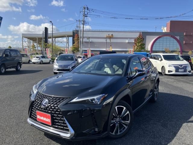 ＵＸ２５０ｈ　ＡＷＤ　バージョンＬ