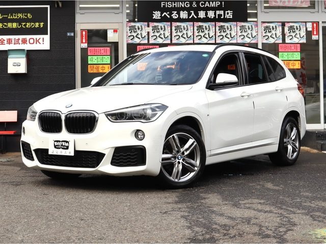 Ｘ１　ｘＤｒｉｖｅ１８ｄ　Ｍスポーツ