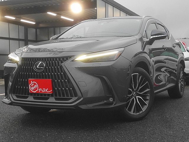 ＮＸ３５０ｈ　バージョンＬ